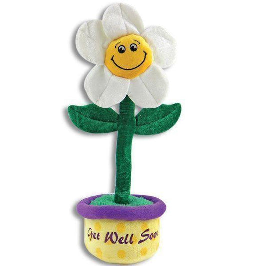 Get Well White Daisy "You R My Sunshine" - Sunshine and Grace Gifts