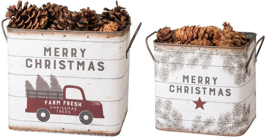 Large Farm Fresh Christmas Trees - Sunshine and Grace Gifts